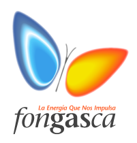 logo fongasca